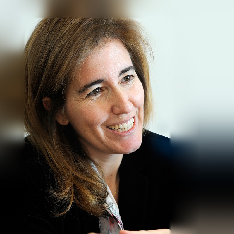 ANA MENDES GODINHO